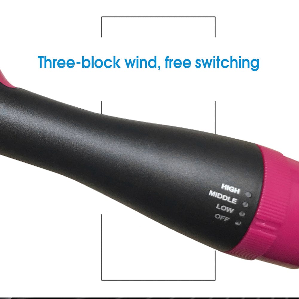 2 in 1 Hair Dryer and Style